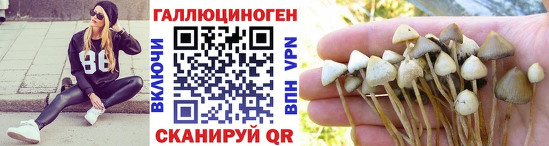 Галлюциногенные грибы ЛСД  OMG ССЫЛКА  Заволжск 